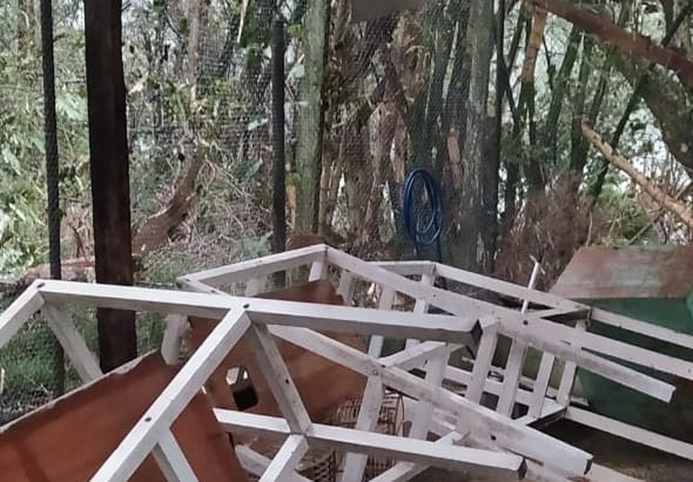 Espa&ccedil;o conta com 52 recintos para abrigar os animais e, por conta do ciclone, nem todos est&atilde;o capacitados para acolh&ecirc;-los &mdash; Foto: Instituto Espa&ccedil;o Silvestre/Acervo