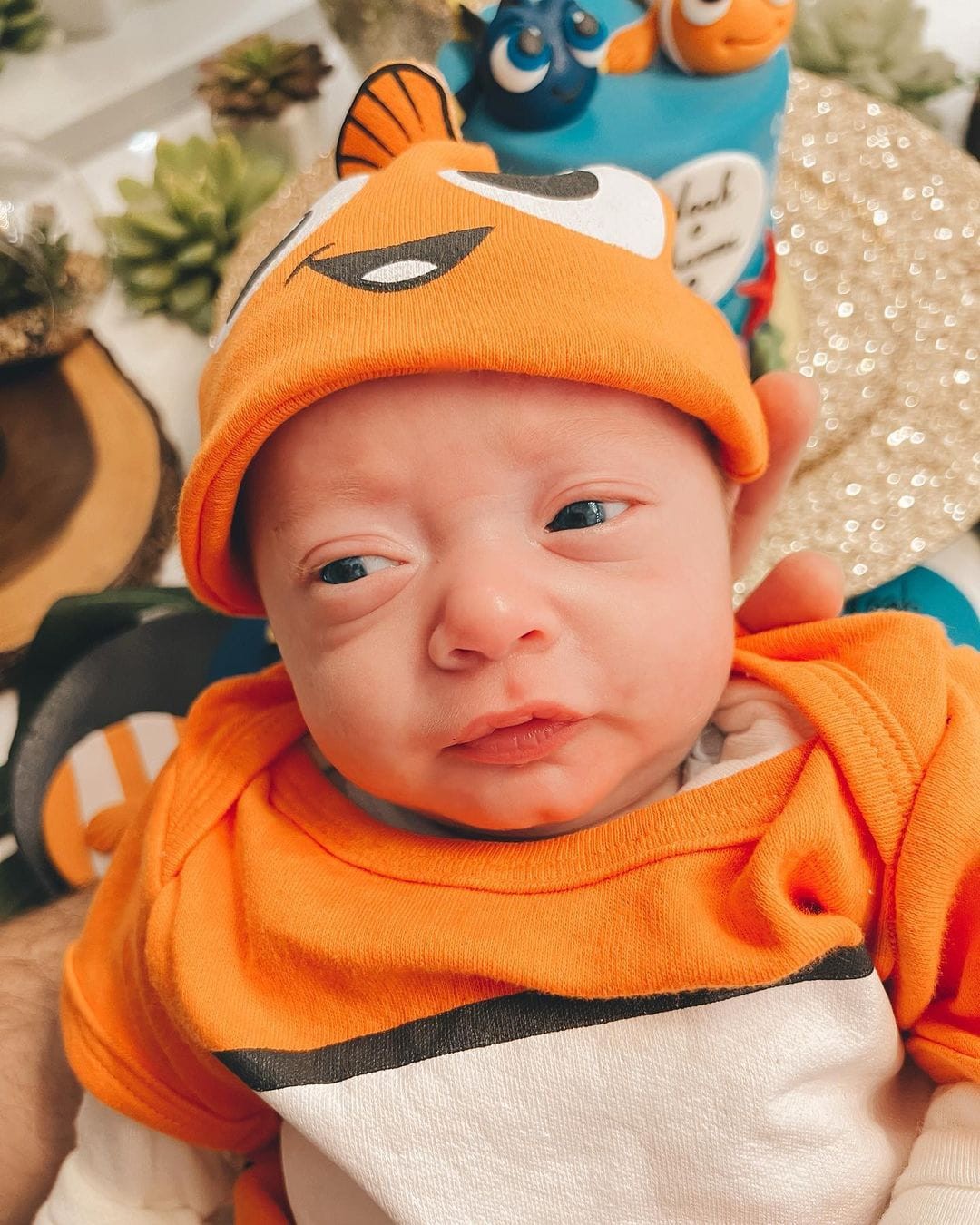 Bebês nasceram prematuros e precisaram ficar na UTI primeiros dias de vida (Foto: Reprodução/Instagram)
