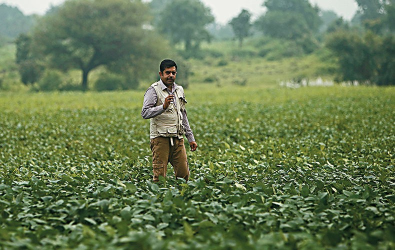 india_agricultura_comercio (Foto: Albari Rosa)