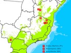 Cidades que mais desmatam na Mata Atlântica estão na fronteira do Cerrado