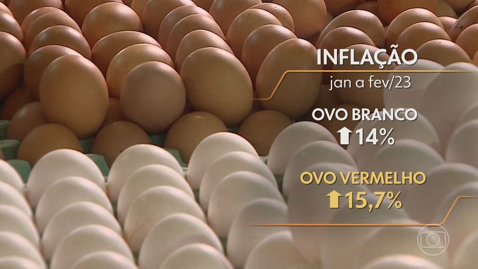 Preço dos ovos tem elevação recorde em 2023 — Foto: Reprodução TV Globo
