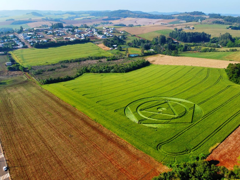 Agroglifos que apareceram em SC. — Foto: Tiago Kosinski/Divulgação