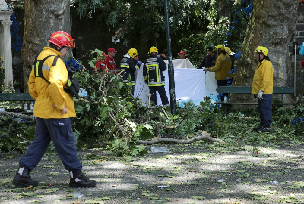 Bombeiros trabalham em resgate de vítimas de queda de árvore no arquipélago da Madeira (Foto: REUTERS/Duarte Sa)