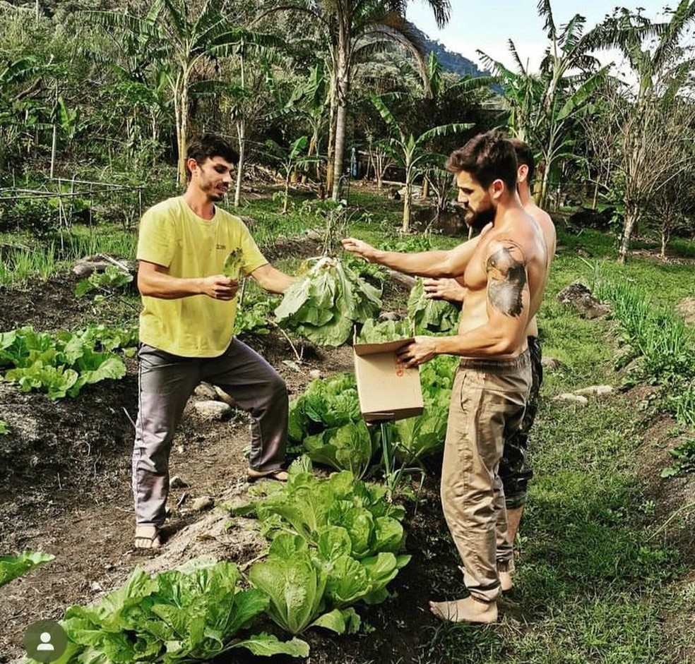 Rafael Cardoso tem projeto agroflorestal — Foto: Reprodução/ Instagram