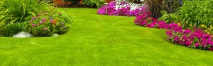Saiba como escolher a grama ideal para sua casa (Reprodução/Pinterest)