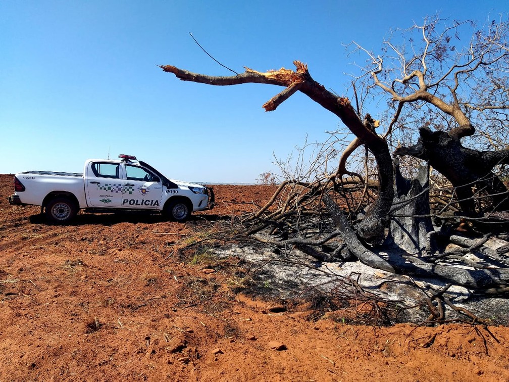 Devastacao Ambiental Em Area Preparada Para O Cultivo De Mandioca Rende Multas De Quase R 100 Mil A Sitiante Presidente Prudente E Regiao G1