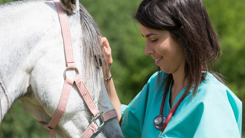 medicina-veterinaria-veterinario-profissões-do-agronegócio-cavalo (Foto: Thinkstock)