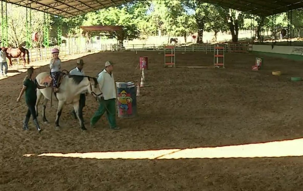 Equoterapia auxilia no desenvolvimento motor e intelectual dos pacientes (Foto: Ronaldo Oliveira/EPTV)