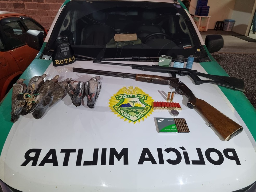 Seis pombos abatidos e duas armas foram apreendidas em Piên — Foto: Divulgação/PMPR