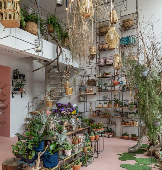 A Galeria Botânica surgiu da necessidade de unir informações e o público entusiasta de flores e plantas (Foto: Evelyn Muller/Divulgação)