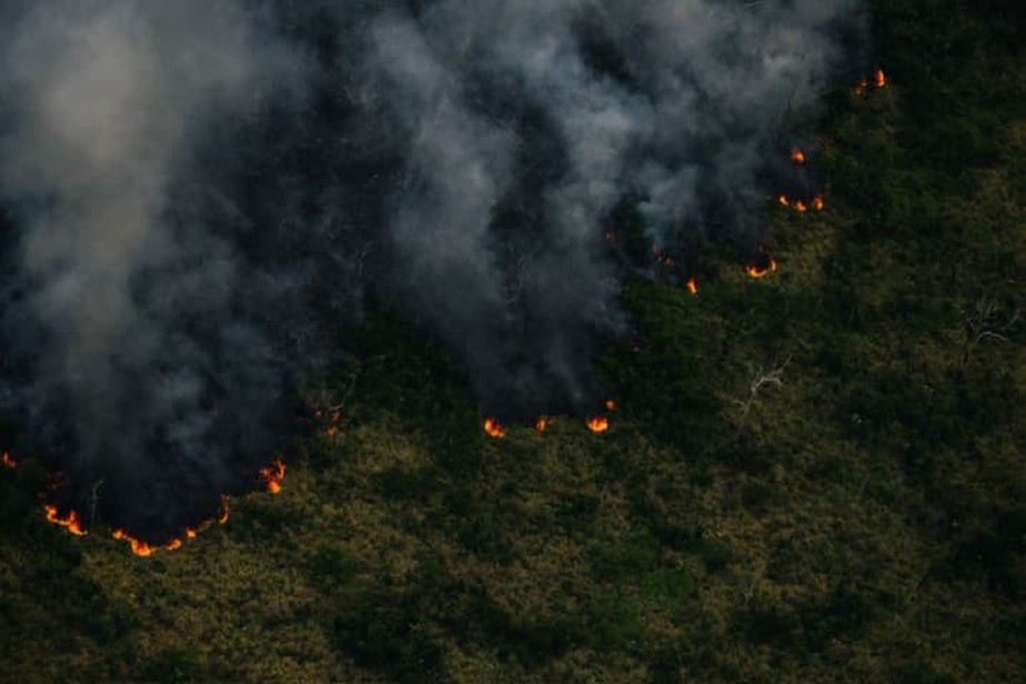 Sobrevoo registrado pelo Greenpeace em julho deste ano flagrou queimada gigantesca