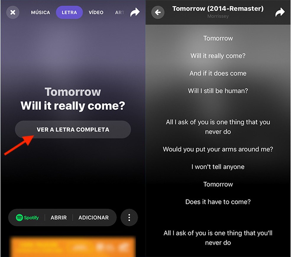 Shazam permite ver a letra da música no celular — Foto: Reprodução/Marvin Costa