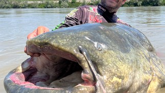 Pescador Alessandro Biancardi captura bagre gigante e bate recorde mundial, na Itália — Foto: Reprodução/Madcat