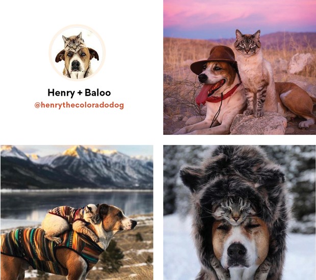 Henry + Baloo (Foto: Reprodução Instagram)