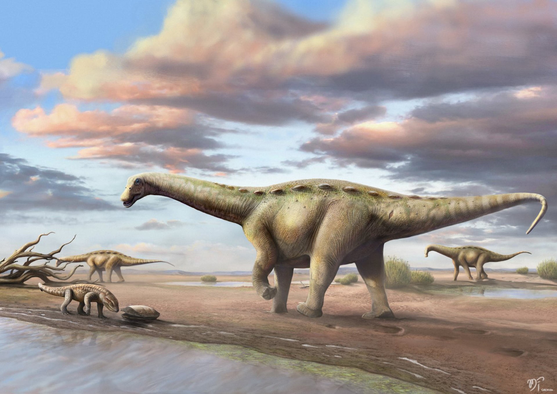 Identifican dinosaurio con cuello de «enano» en Ibirá, dentro del SP – Revista Galileu