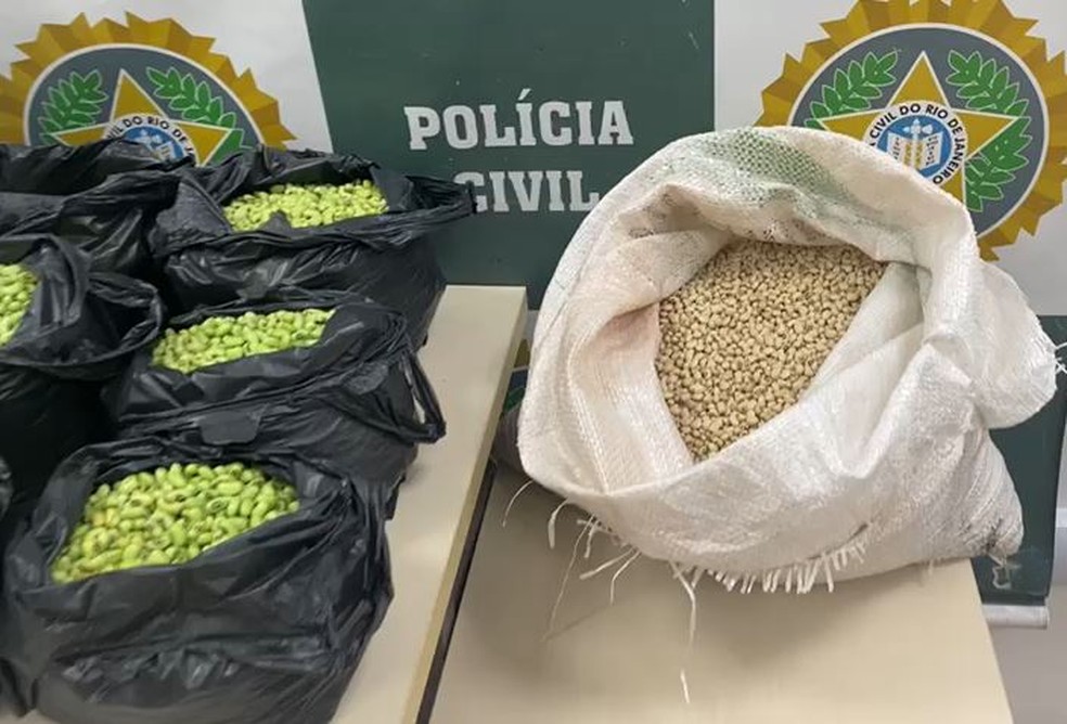 Homem é preso no Rio por tingir de verde feijão fradinho para vender como feijão de corda