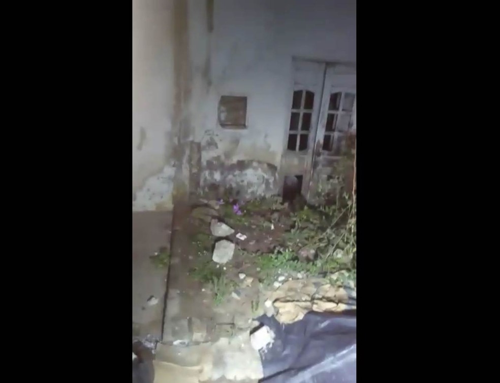 Corpo foi encontrado dentro desta casa abandonada em Palmares (Foto: Divulgação/Polícia Militar)