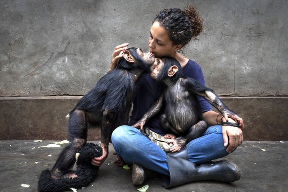 Sequência de imagens traça o perfil de um centro de reabilitação que cuida de chimpanzés que ficaram órfãos — Foto: BRENT STIRTON/WPY