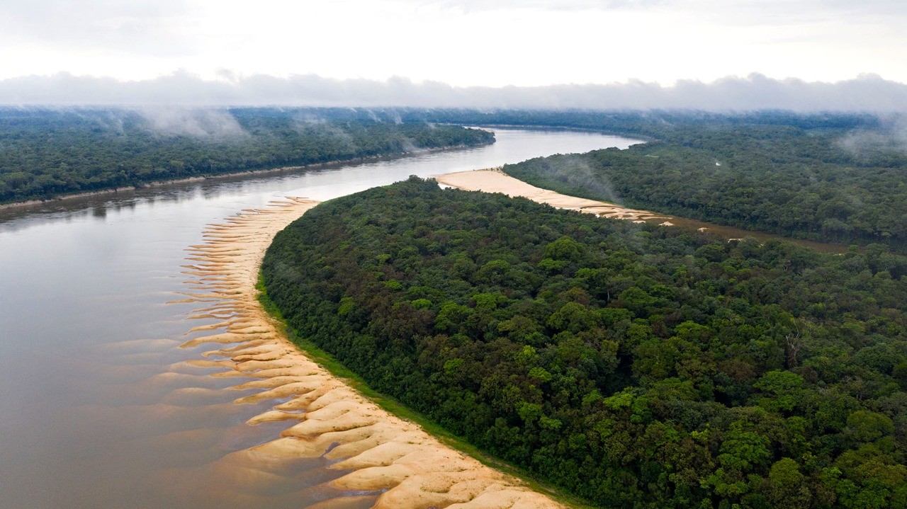 228 mil toneladas de carbono deixaram de ser emitidas após ações de conservação no Sul do AM, aponta estudo