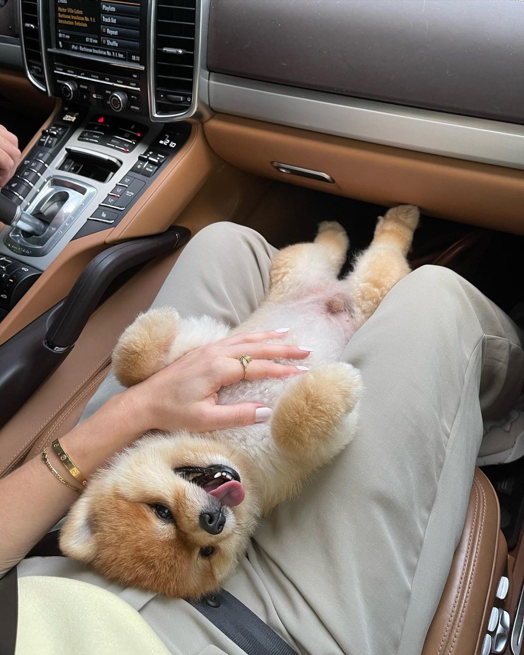 Fiorella Mattheis publica série de fotos com cachorro (Foto: Reprodução/ Instagram)