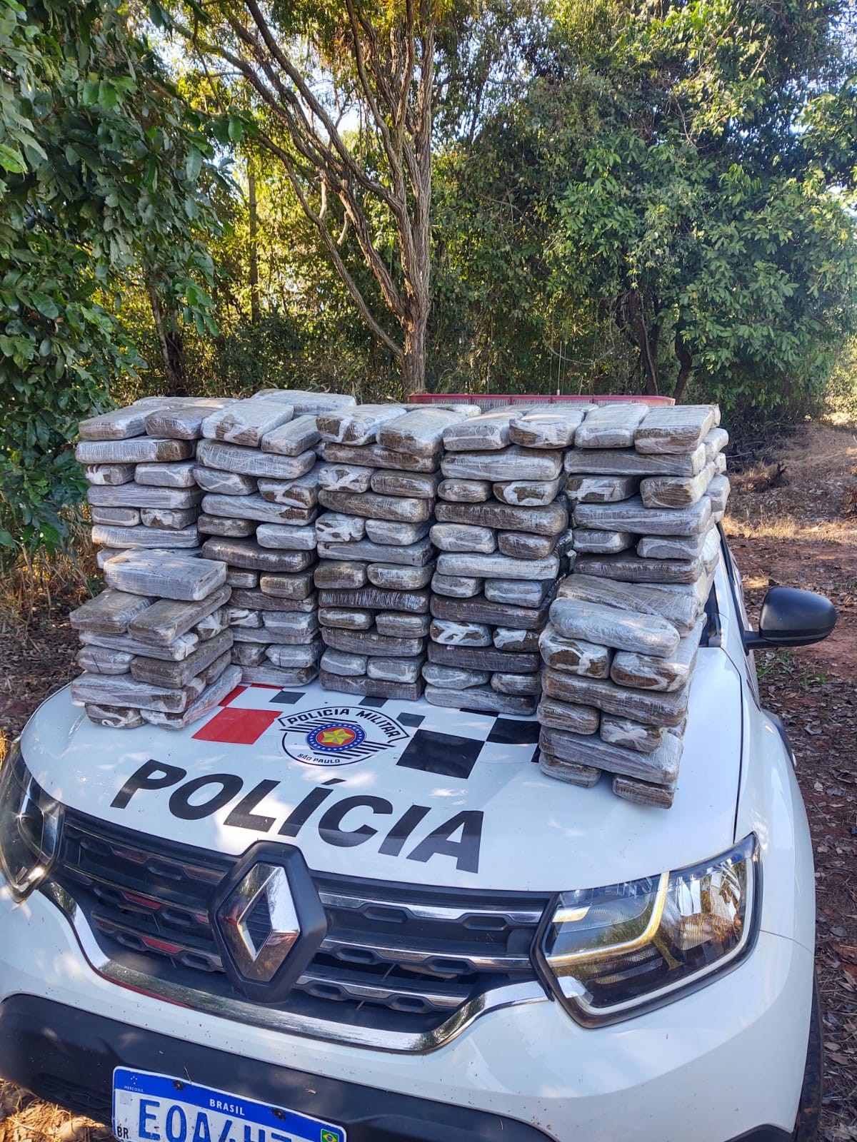Polícia apreende cerca de 100 kg de maconha às margens de rodovia em Itápolis