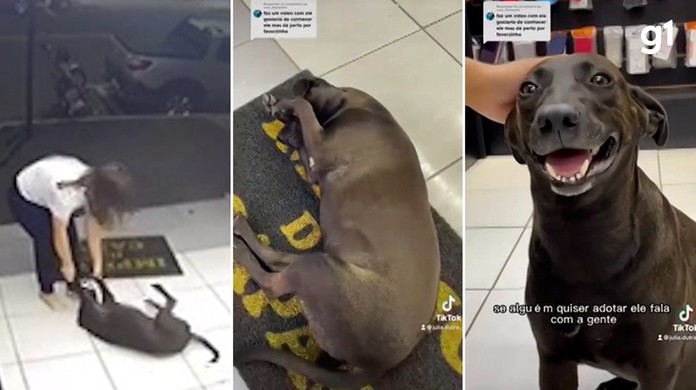 Cachorro atrapalha vendedoras a fecharem loja em Caldas Novas e viraliza na  web; vídeo | Goiás | G1