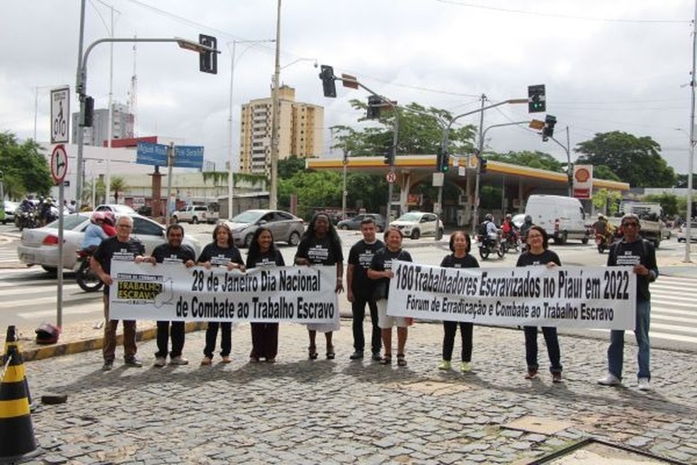 Número de pessoas resgatadas de trabalho análogo à escravidão no Piauí é o maior dos últimos 10 anos — Foto: Divulgação/MPT