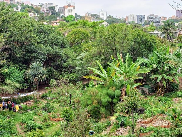 Conheça 3 hortas comunitárias criadas em espaços urbanos (Foto: Divulgação)