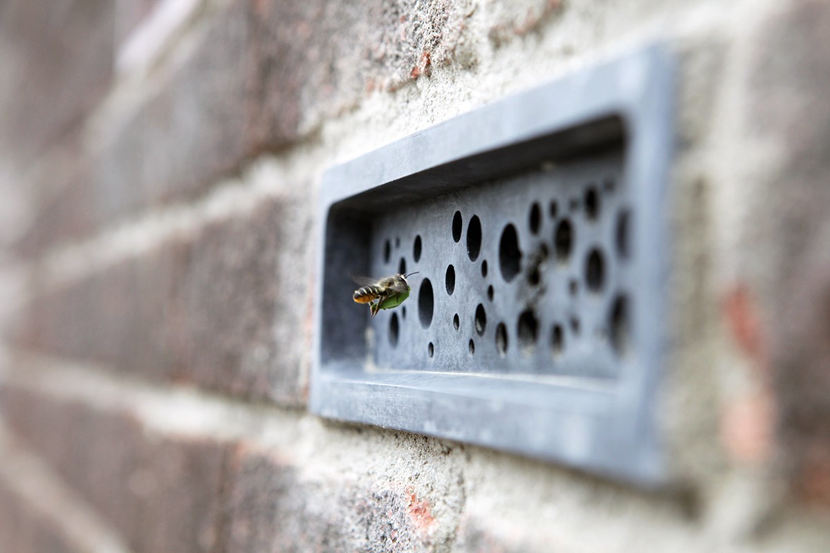 Tijolo com pequenos orifícios que abrigam abelhas foi adotado como lei na cidade de Brighton, na Inglaterra  (Foto: Green&Blue / Divulgação)