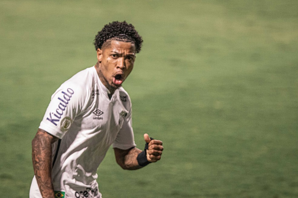 Marinho comemora gol do Santos sobre o Goiás — Foto: Heber Gomes / Estadão Conteúdo