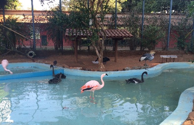 Zoológico de Goiânia é uma das opções mais tradicionais de lazer da população (Foto: Vitor Santana/G1)