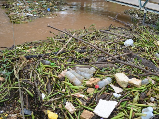 Lixo acumulado após cheia do Rio Piracicaba (Foto: Carol Giantomaso/G1)