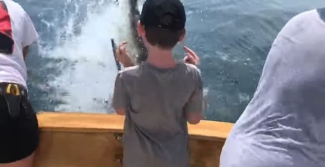 Tubarão assustou garotinho (Foto: Reprodução Youtube)