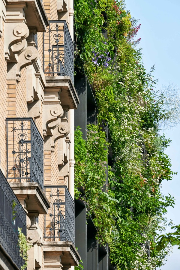 Natureza na cidade: edifício com fachada verde é inaugurado em Paris (Foto: Divulgação/Michel Denancé)