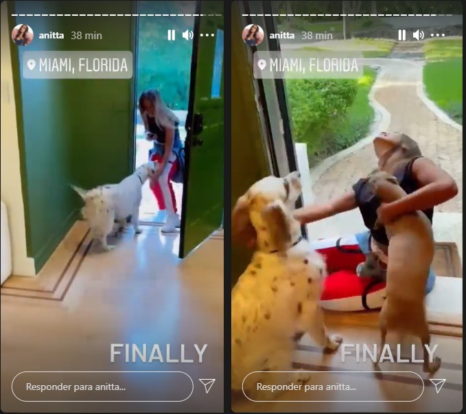 Anitta é recebida pelos cachorros em Miami (Foto: Reprodução Instagram)
