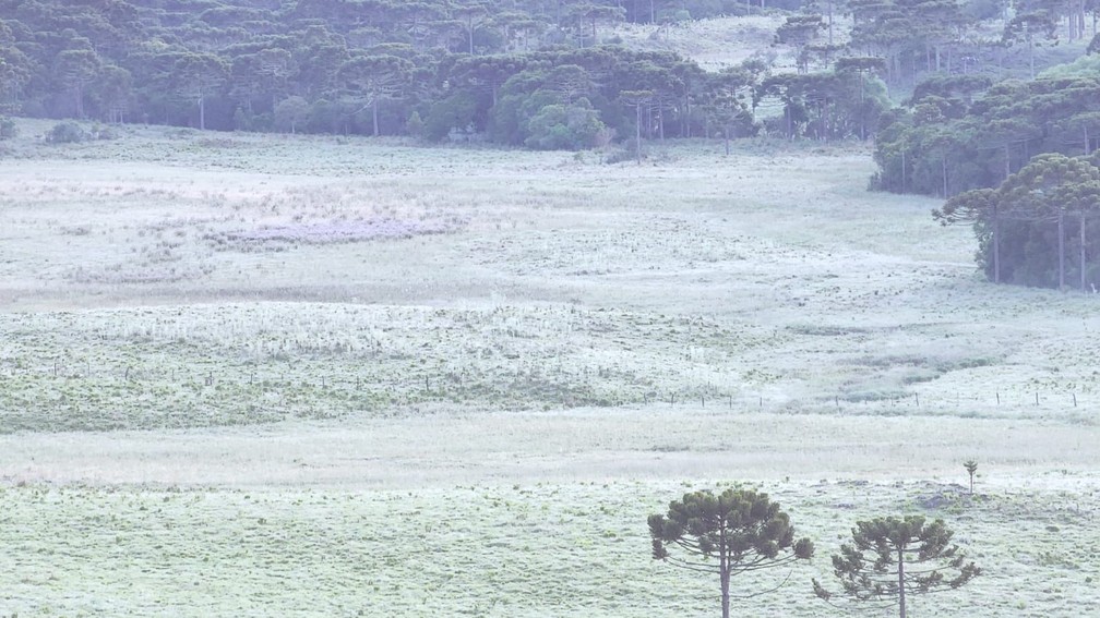 Amanhecer em São Joaquim em 29 de dezembro de 2022 — Foto: São Joaquim Online/Divulgação