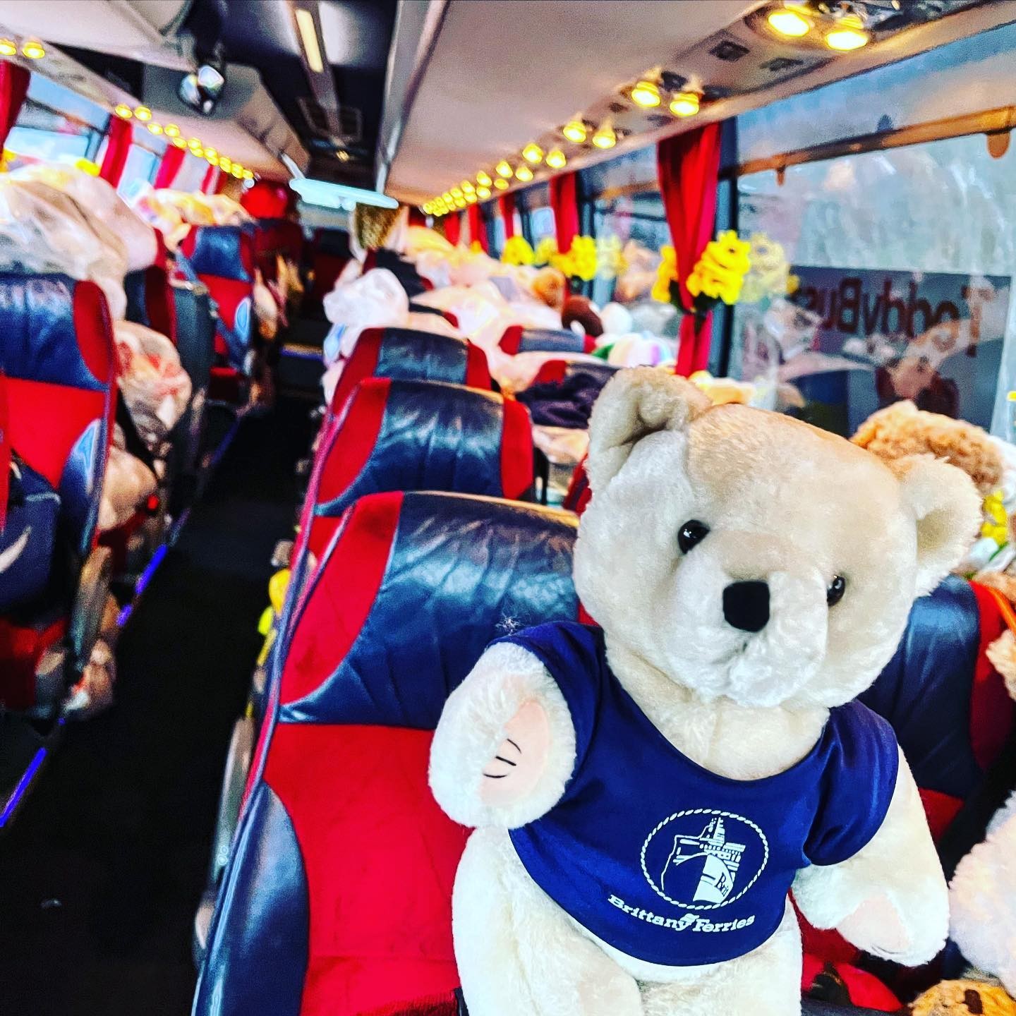 Grupo de ingleses criam ônibus de ursinhos e distribuem para crianças ucranianas (Foto: Reprodução / Instagram)