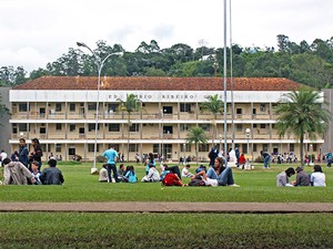 Universidade Federal de Viçosa - Notícias