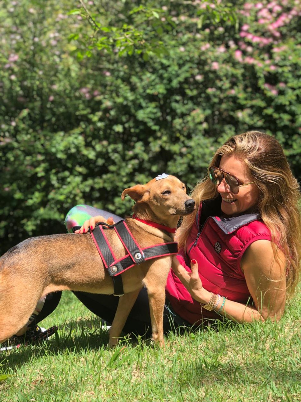 Final feliz: a fotógrafa Solange Castilho com a cachorra Serena — Foto: Solange Castilho/Arquivo Pessoal