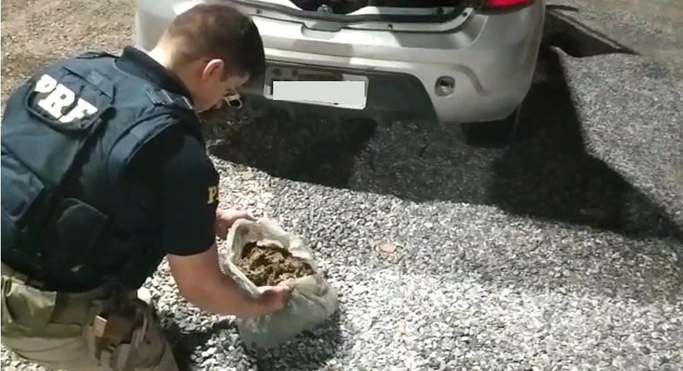 PRF encontrou 33 quilos de maconha com suspeitos — Foto: Divulgação/PRF
