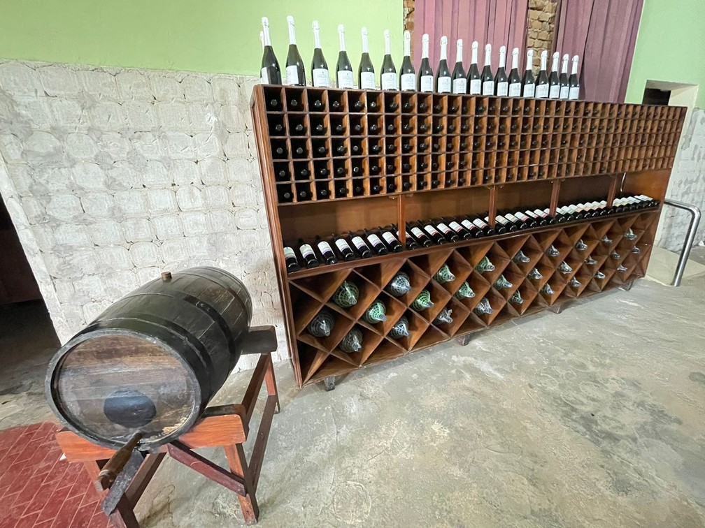Vinho família Beloto, em Andradas (MG) — Foto: Gervásio Ribeiro Beloto 