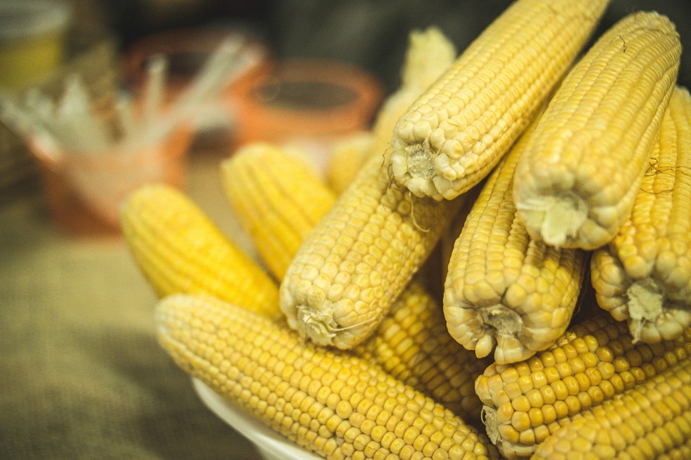 Pratos feitos com milho serão vendidos na festa — Foto: Magno Cabral Goiaba/Pixabay/Arquivo
