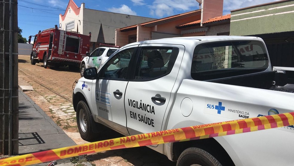 Onça-parda apareceu em residência em Presidente Venceslau nesta segunda-feira (15) — Foto: Carlos Volpi/TV Fronteira