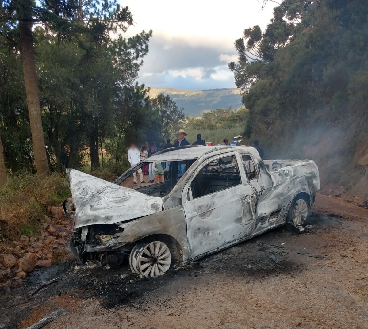 Veículo bate em pinheiro, pega fogo e motorista morre no interior de SC