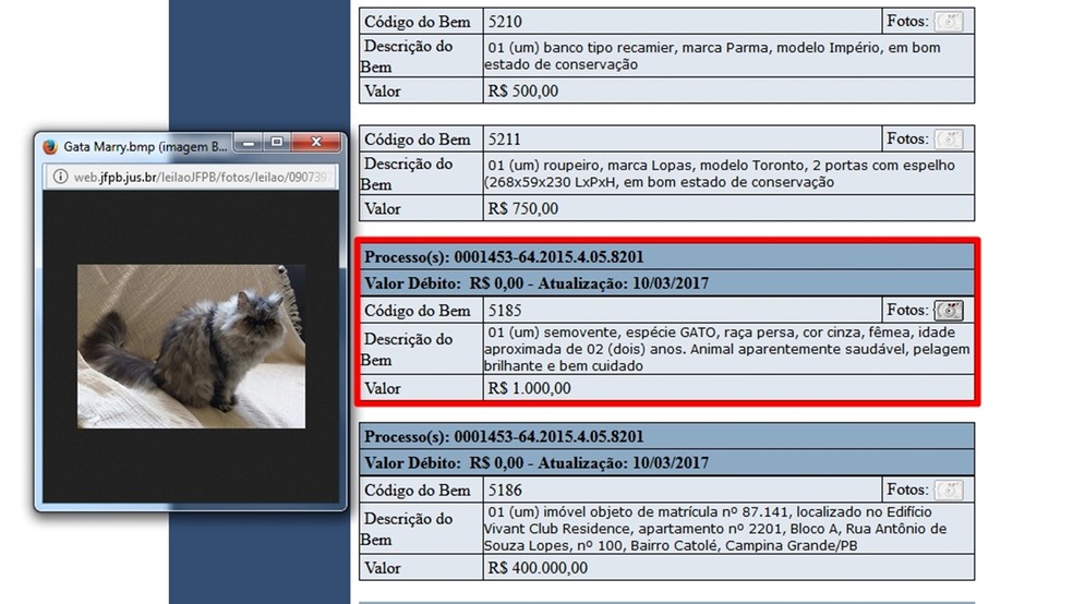 Gata integrou leilão da Justiça Federal realizado em Campina Grande (Foto: Reprodução/web.jfpb.jus.br/leilaoJFPB)