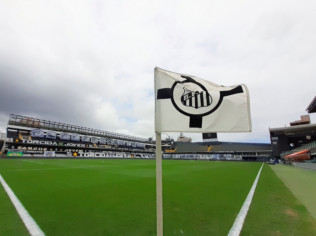 Rivais Na Libertadores Palmeiras E Santos Tem Jogos Adiados Na 33Âª Rodada Do Brasileirao Brasileirao Serie A Ge