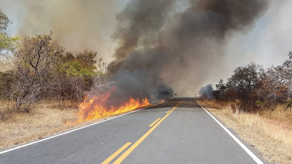 Incêndio foi registrado às margens da MG-202, zona rural de Brasília de Minas — Foto: Corpo de Bombeiros