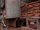 Polícia apreende mais de mil metros cúbicos de madeira ilegal em MT