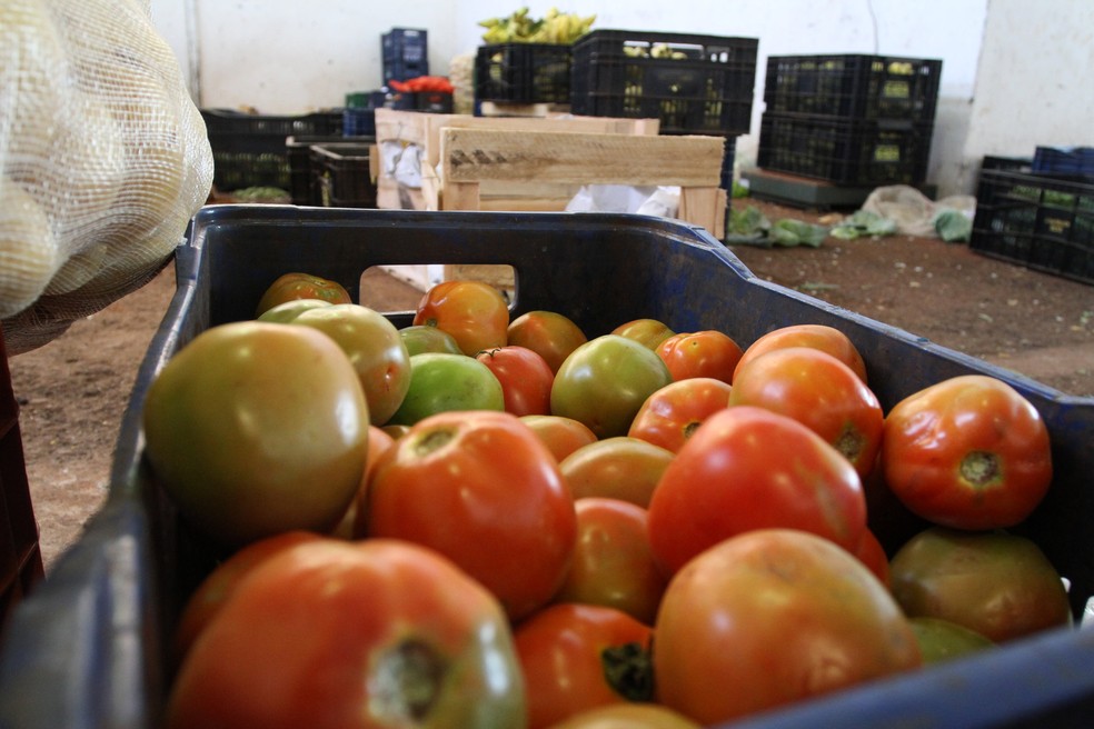 Ministério da Agricultura avaliou resíduos de agrotóxicos em 42 variedades de alimentos coletados em fazendas e centros de distribuição — Foto: Enerson Cleiton/Prefeitura de Uberaba