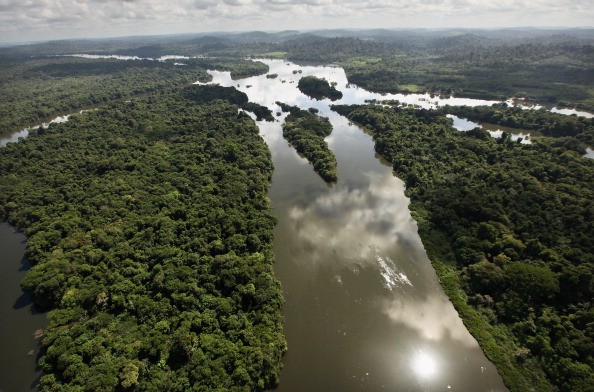 Amazônia (Foto: Getty Images)